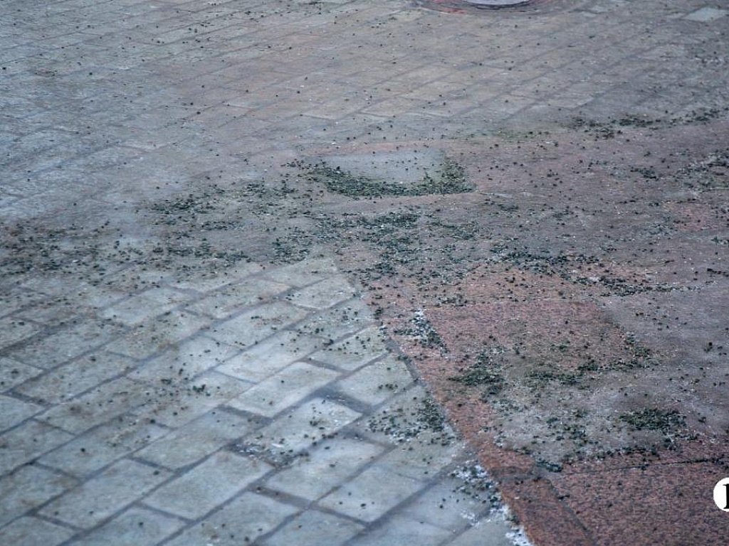 В Челябинской области усилили работу травмпунктов из‑за гололеда