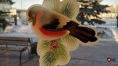 В Челябинской области возвращается маршрут до горнолыжного курорта