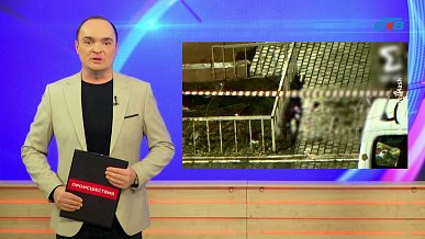 Происшествия дня 24.11.2025