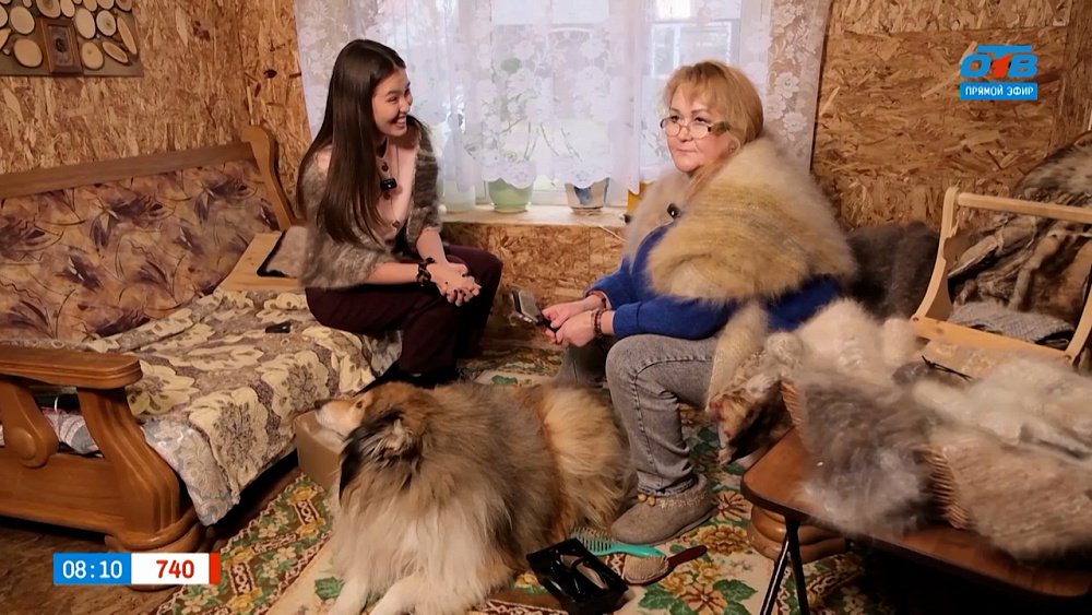 История Флориды Галимовой и её питомца Энджела в сюжете «Вязание из собачей шерсти»