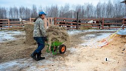 Терапия самых сильных: в Челябинске лошади помогают детям с ДЦП и ветеранам СВО