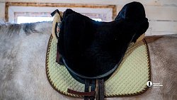 Терапия самых сильных: в Челябинске лошади помогают детям с ДЦП и ветеранам СВО