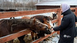 Терапия самых сильных: в Челябинске лошади помогают детям с ДЦП и ветеранам СВО