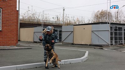 Челябинский кинолог стал победителем на чемпионате МВД России