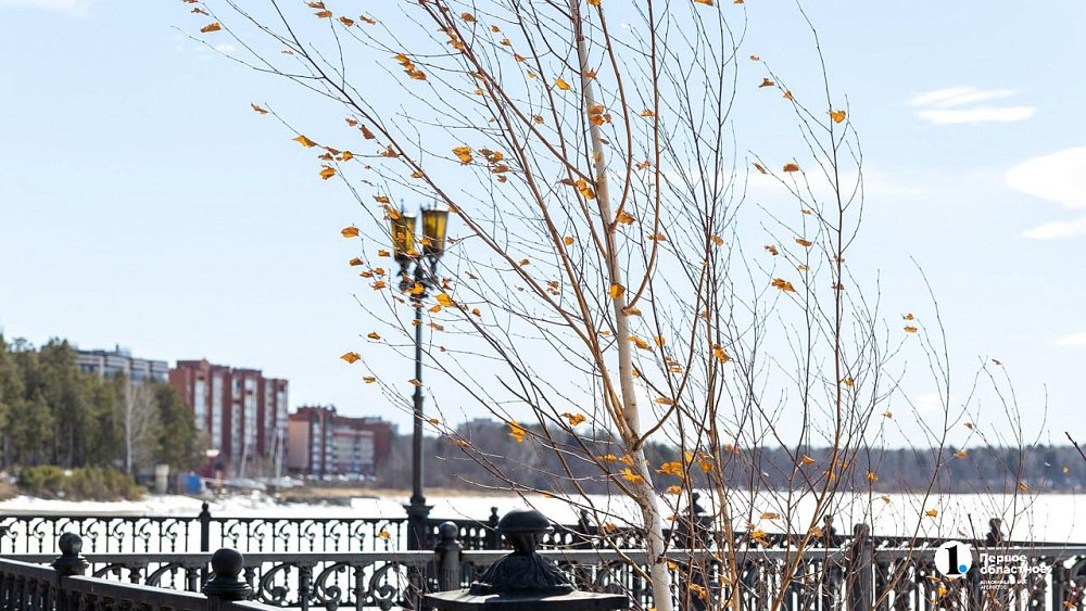 Сухая погода установится в Челябинской области 27 ноября