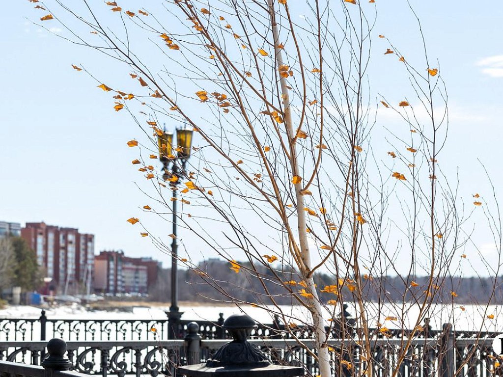 Сухая погода установится в Челябинской области 27 ноября