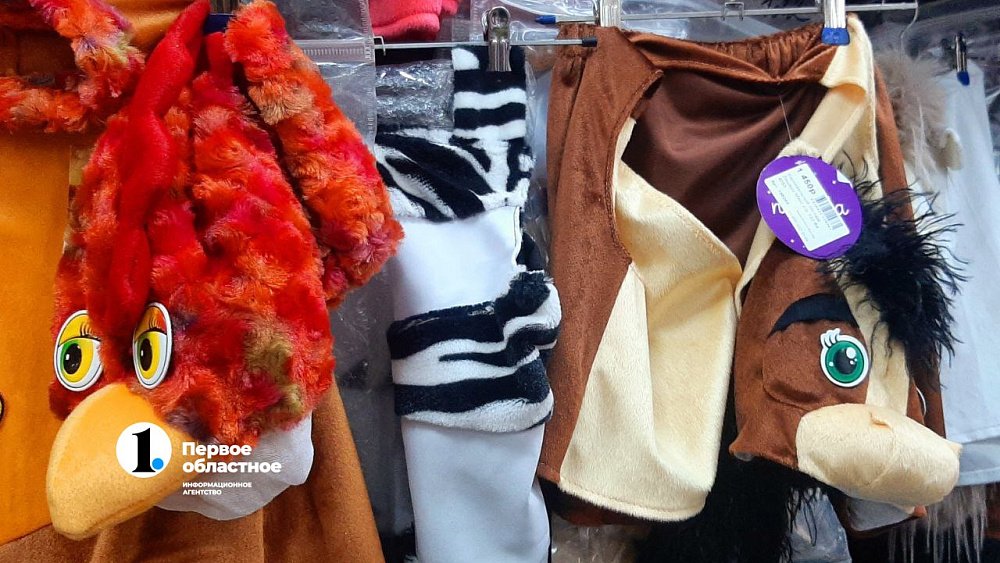 Во сколько обойдется карнавальный костюм на Новый год ребенку в Челябинске