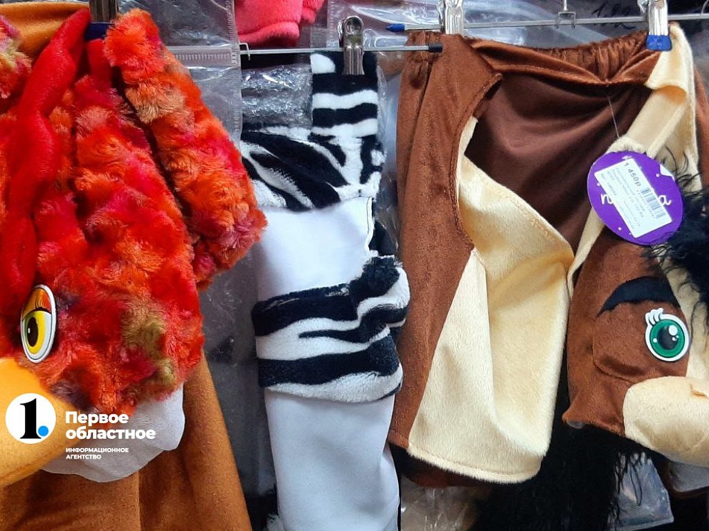 Во сколько обойдется карнавальный костюм на Новый год ребенку в Челябинске