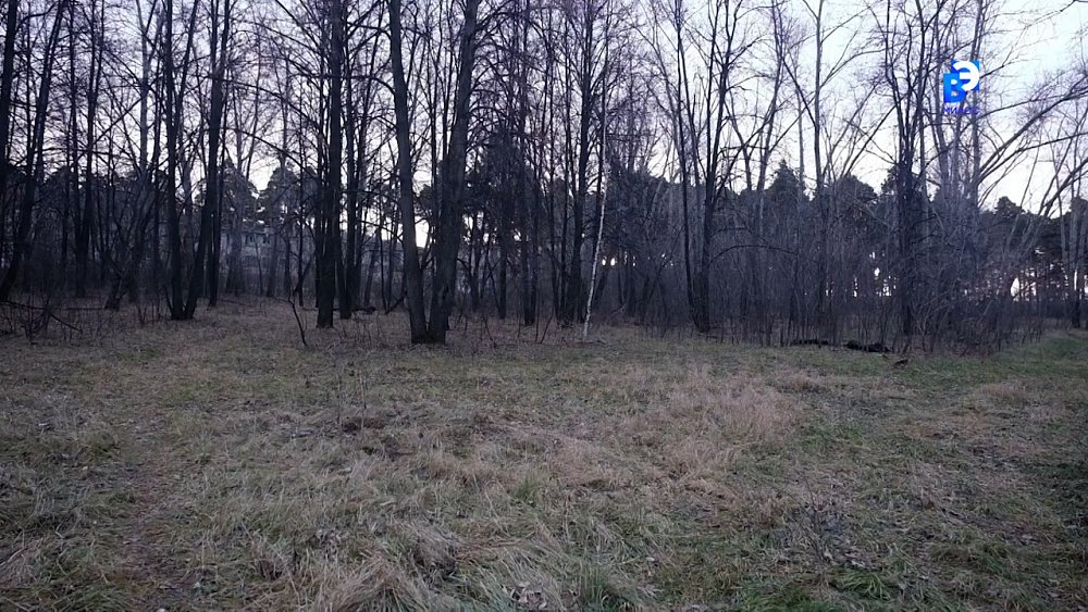 В Миассе задержали женщину, подозреваемую в торговле наркотиками