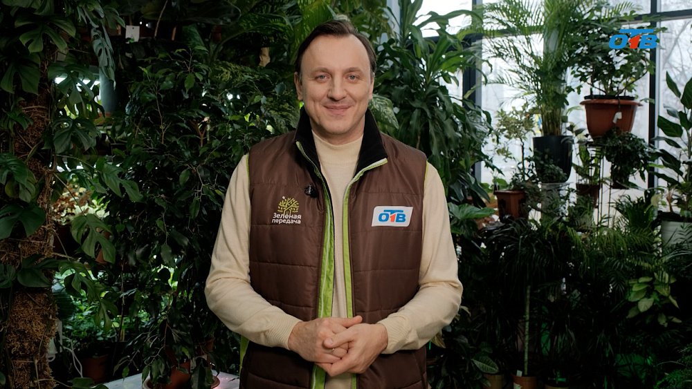 Разнообразные методы размножения растений