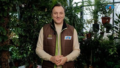 Разнообразные методы размножения растений