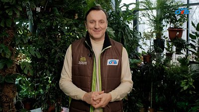 Разнообразные методы размножения растений