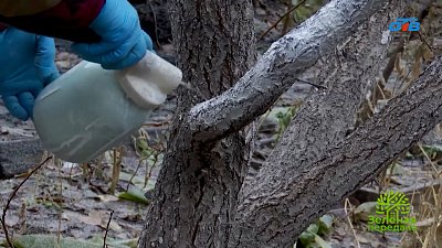 Список актуальных задач для сада и дома в декабре