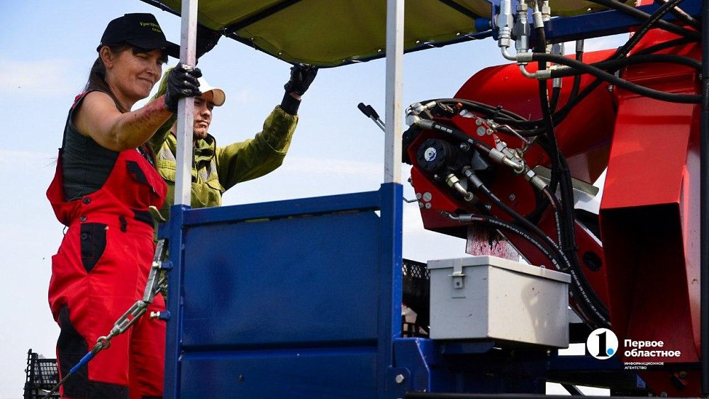 В Челябинской области резко вырос спрос на аграриев