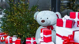 Челябинская область вошла в топ-3 по России по спросу на зимние фотосессии 