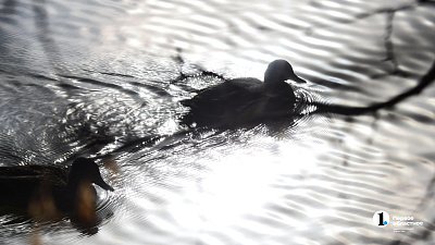 Температура в Челябинской области сохранится на 8 градусов выше нормы 29 ноября