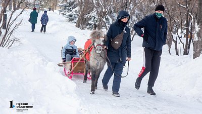 Сугробы высотой до 40 см вырастут в Челябинской области в декабре‑2025