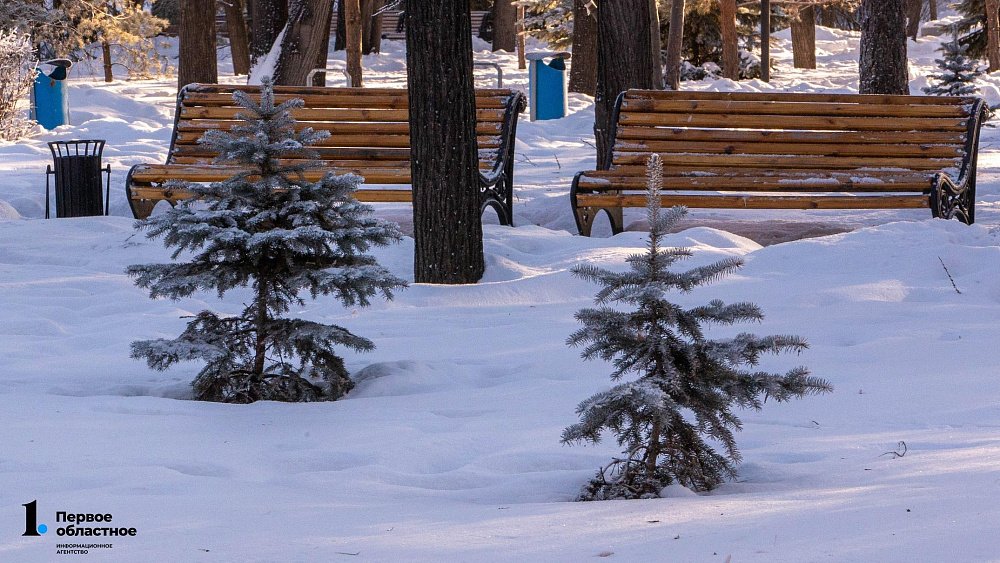 Сугробы высотой до 40 см вырастут в Челябинской области в декабре‑2025
