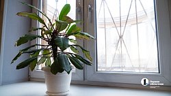 Артисты театра «Скарабей» готовят сцену ДК «Энергетик» под новогодние представления