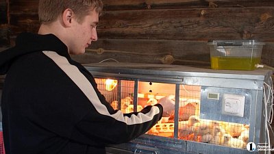 Школьник из Кыштыма строит новую птицеферму после прямой линии губернатора