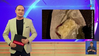 В Челябинской области на трассе полиция задержала наркокурьера