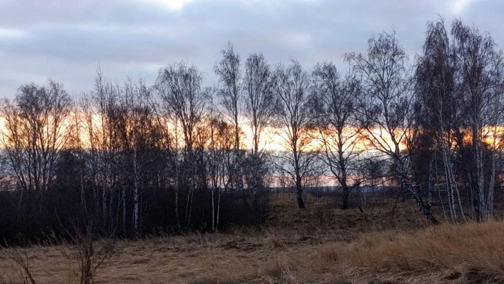 В небе над Челябинской областью вечером 2 декабря заметили российский триколор