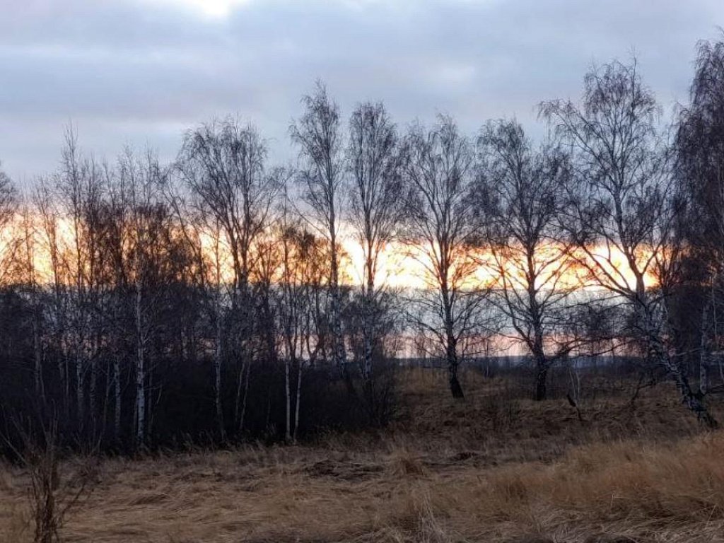 В небе над Челябинской областью вечером 2 декабря заметили российский триколор