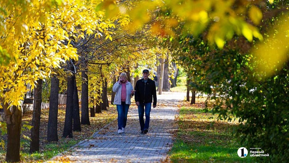 В Челябинской области часть пенсионеров получат январскую пенсию до 30 декабря