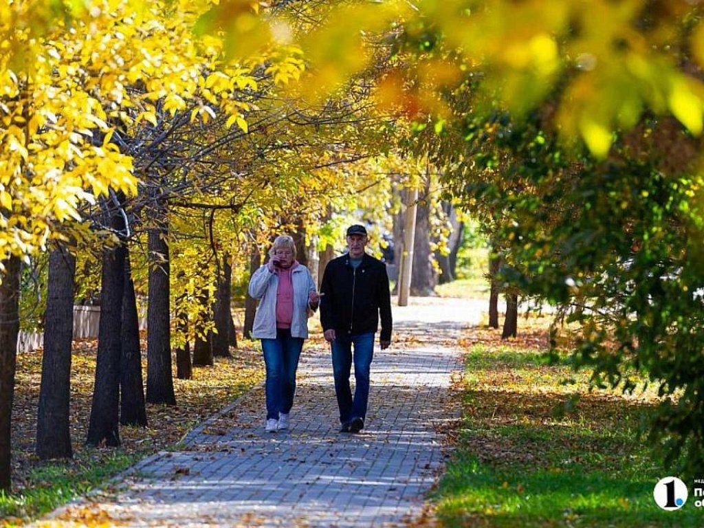 В Челябинской области часть пенсионеров получат январскую пенсию до 30 декабря