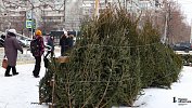Первые елочные базары откроются в Челябинске 13 декабря
