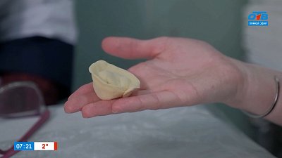 Ферма Никитиных в рубрике «Мой бизнес: Готовый продукт»