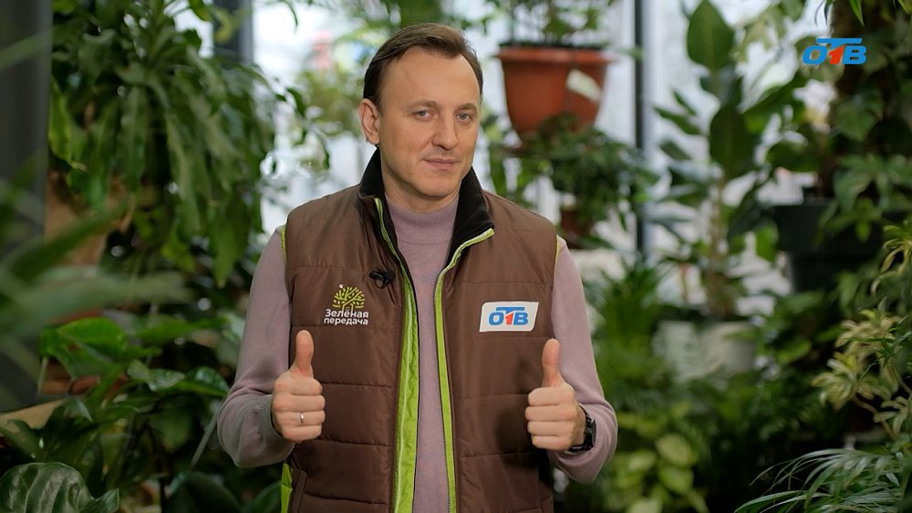 Как дефицит снега в холодное время года вредит растениям и земле