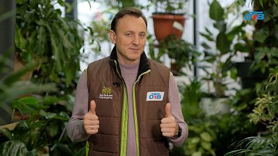 Как дефицит снега в холодное время года вредит растениям и земле