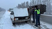 Под Южноуральском сотрудники ГАИ спасли водителя, вставшего на трассе без бензина