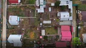 Чем грозит бесснежная зима растениям и почве?