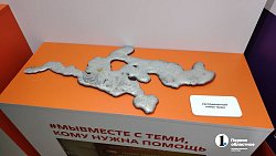 Алексей Текслер увидел вдохновляющие проекты волонтеров и добровольцев на форуме #МЫВМЕСТЕ