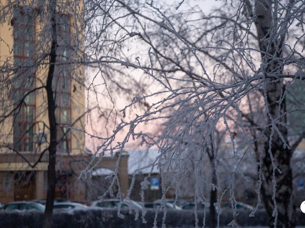 До −11 похолодает в Челябинской области в первые выходные декабря