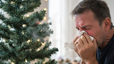 Аллергию на искусственную елку вызывают эти вещества