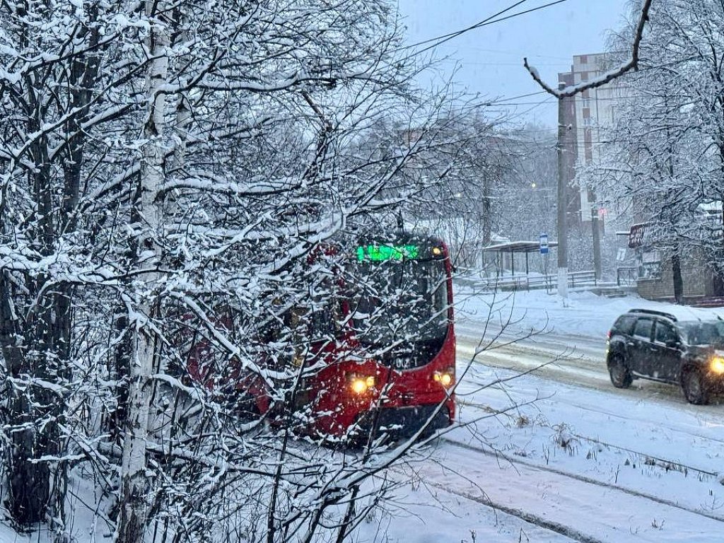 В Челябинскую область пришла настоящая зима