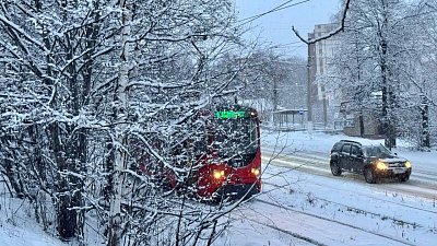 В Челябинскую область пришла настоящая зима