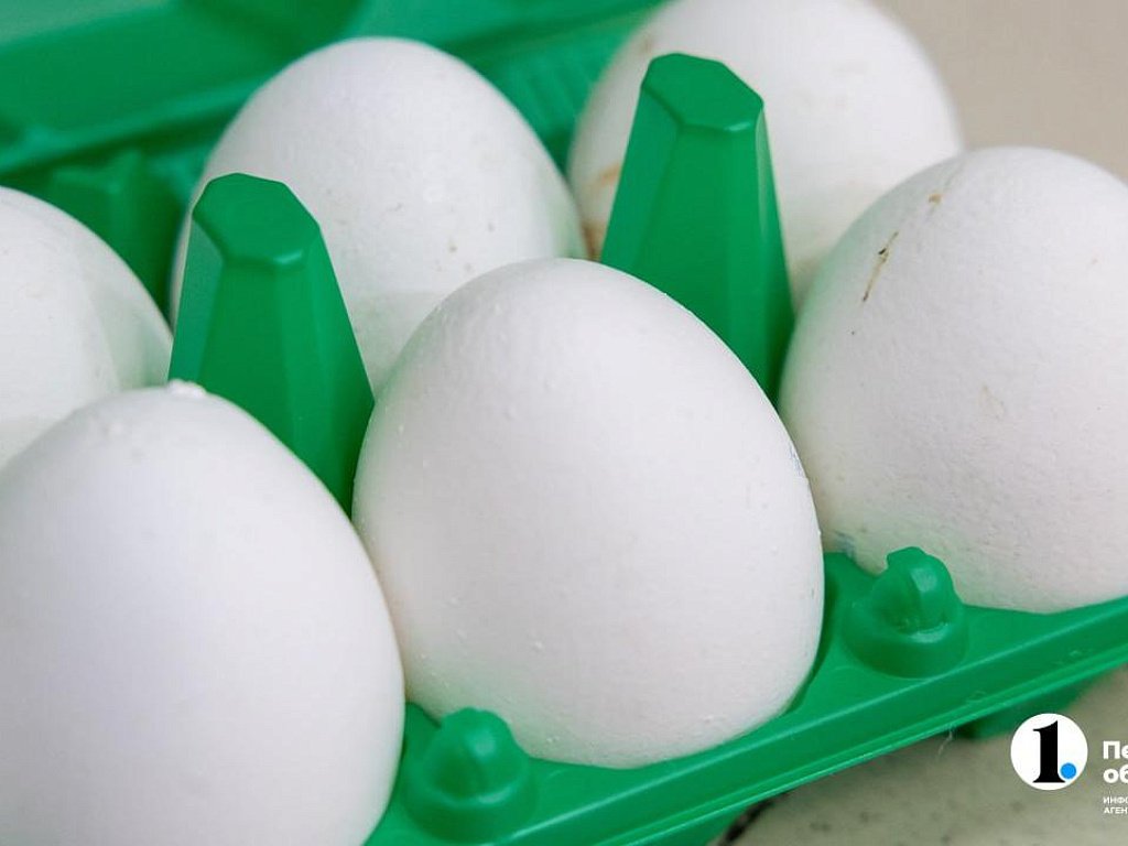 Почти 47 тыс. яиц пытались вывезти из Челябинска по поддельным документам