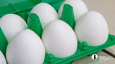 Почти 47 тыс. яиц пытались вывезти из Челябинска по поддельным документам