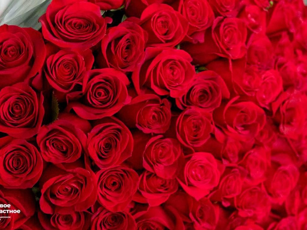 После дня рождения 18‑летняя девушка из Озерска отдала лжекурьеру 5,2 млн