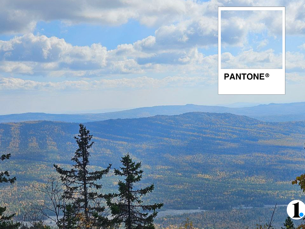 Где в Челябинской области можно встретить цвет года — 2026