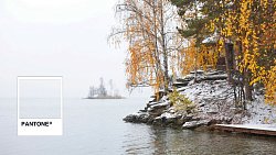 Где в Челябинской области можно встретить цвет года — 2026