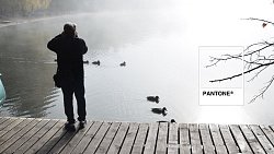 Где в Челябинской области можно встретить цвет года — 2026