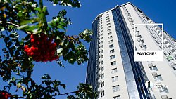 Где в Челябинской области можно встретить цвет года — 2026