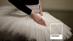 Где в Челябинской области можно встретить цвет года — 2026