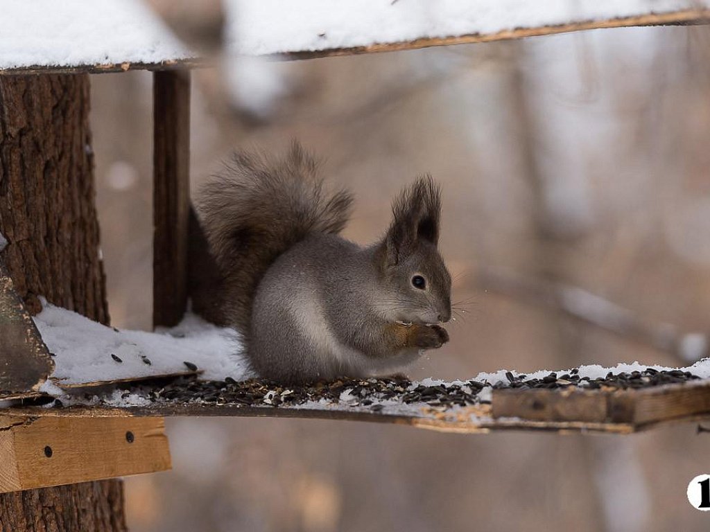 До −5 прогреется воздух в Челябинской области после кратковременного похолодания