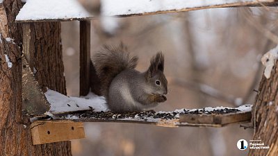 До −5 прогреется воздух в Челябинской области после кратковременного похолодания